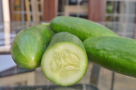 Freshly picked cucumbers