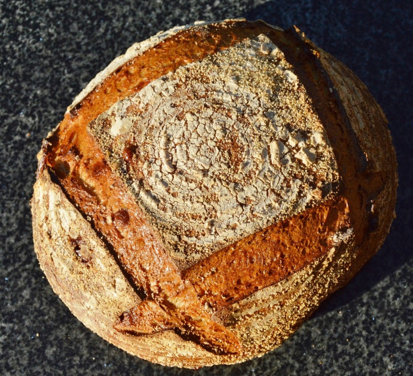bread, sourdough, real bread, realbread, homecook, besthomecook, britainsbesthomecook, britain's best home cook, mary berry, claudia winkleman, maryberry, claudiawinkleman, chrisbavin, chris bavin, bbc, bbc1, bbcone, television, tv, philip, philipfriend, philip friend, yeast, flour, bakery, recipe, food, foodie, crust