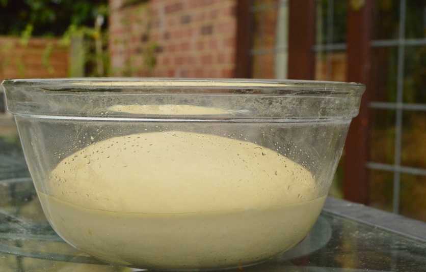 Dough risen and ready to use