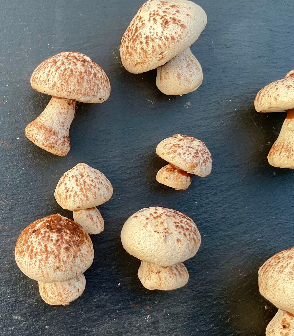 Mocha meringue mushrooms